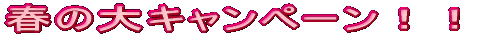 �t�̑�L�����y�[���I�I